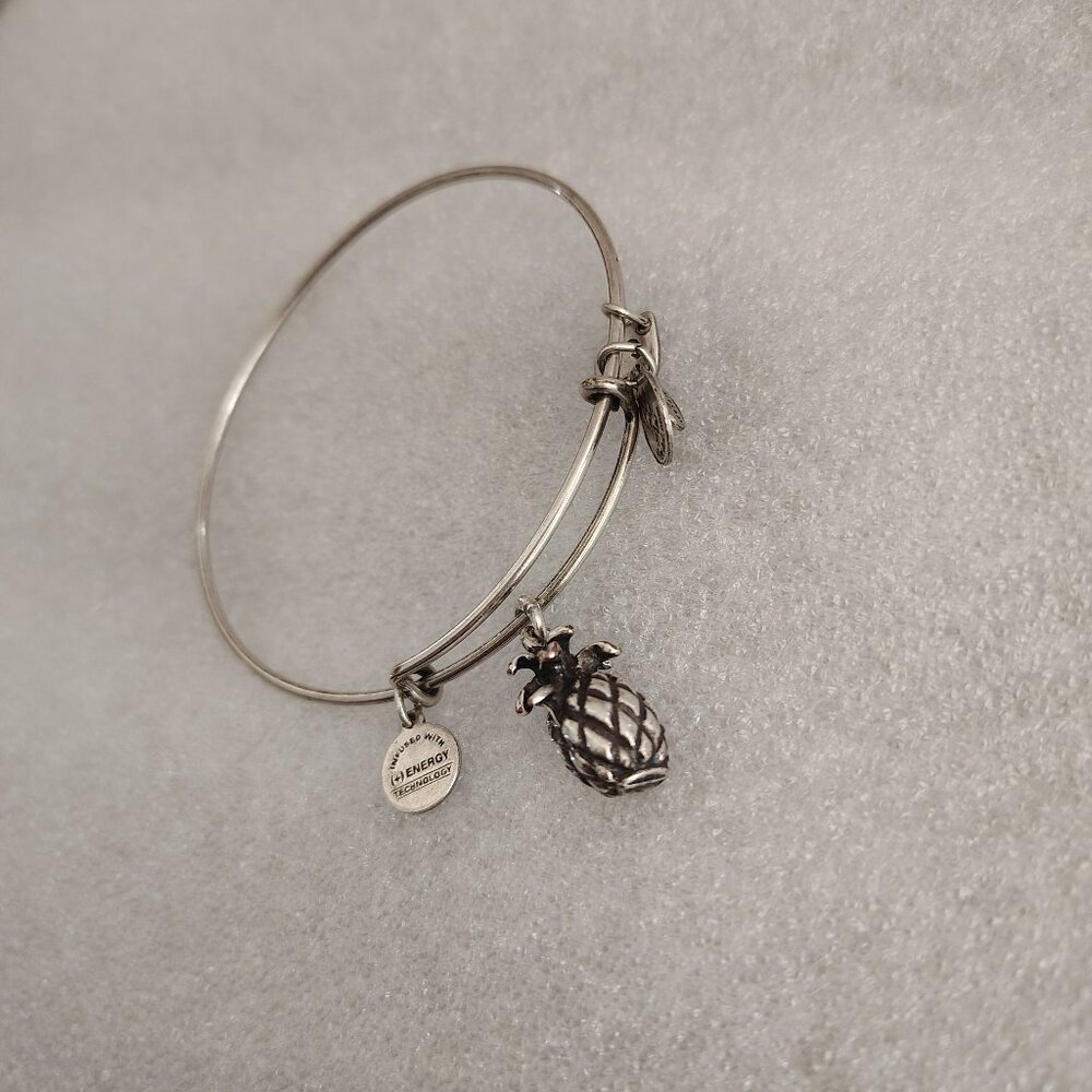 🍍Alex and Ani Pineapple Silver Charm Bracelet  HOBO Bangle   170